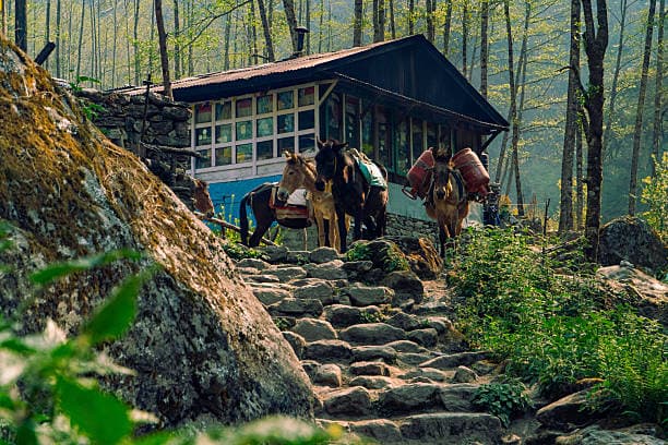 Langtang Valley Trek photo 3